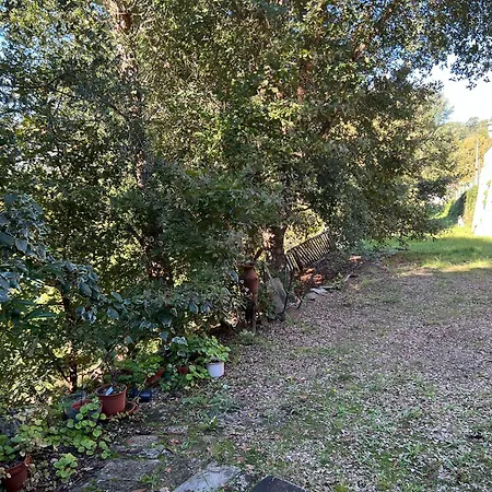 Casa Rio Mino * Cortegada