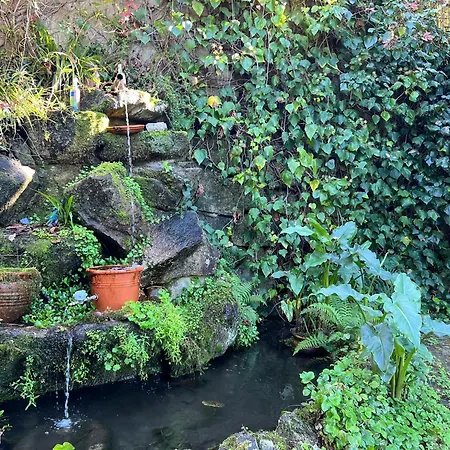 Casa Rio Mino Cortegada