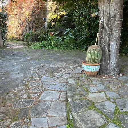 Casa Rio Mino